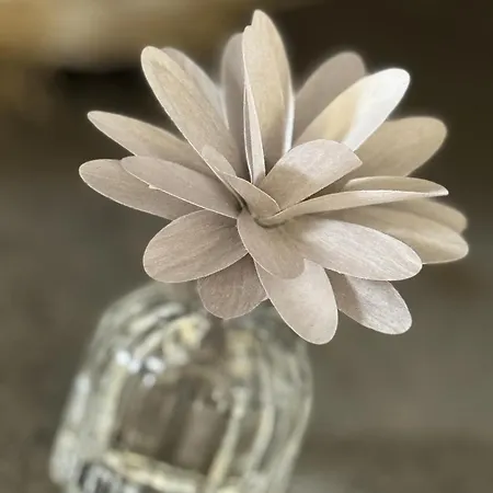 Angoletto Medioevale *